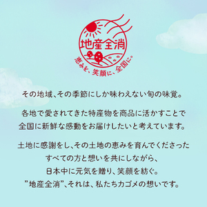 カゴメ 野菜生活100 沖縄シークヮーサーミックス 195ml 紙パック 48本入 期間限定 砂糖不使用 甘味料無添加 健康志向 飲料 山梨県 北杜市 送料無料