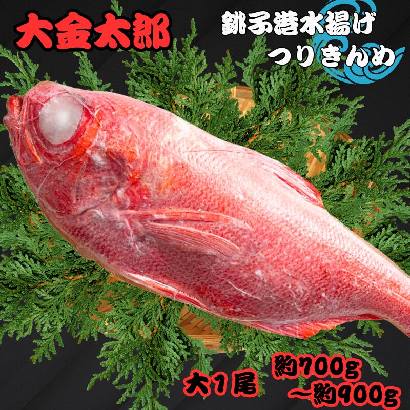 【ふるさと納税】 銚子釣り金目 大金太郎 約700g~900g 金目鯛 銚子 新鮮 銚子港水揚げ 瞬間冷凍 つりきんめ キンメ 釣り きんめ キンメダイ きんめだい おさしみ 刺し身 煮つけ 海鮮料理 千葉県 銚子市
