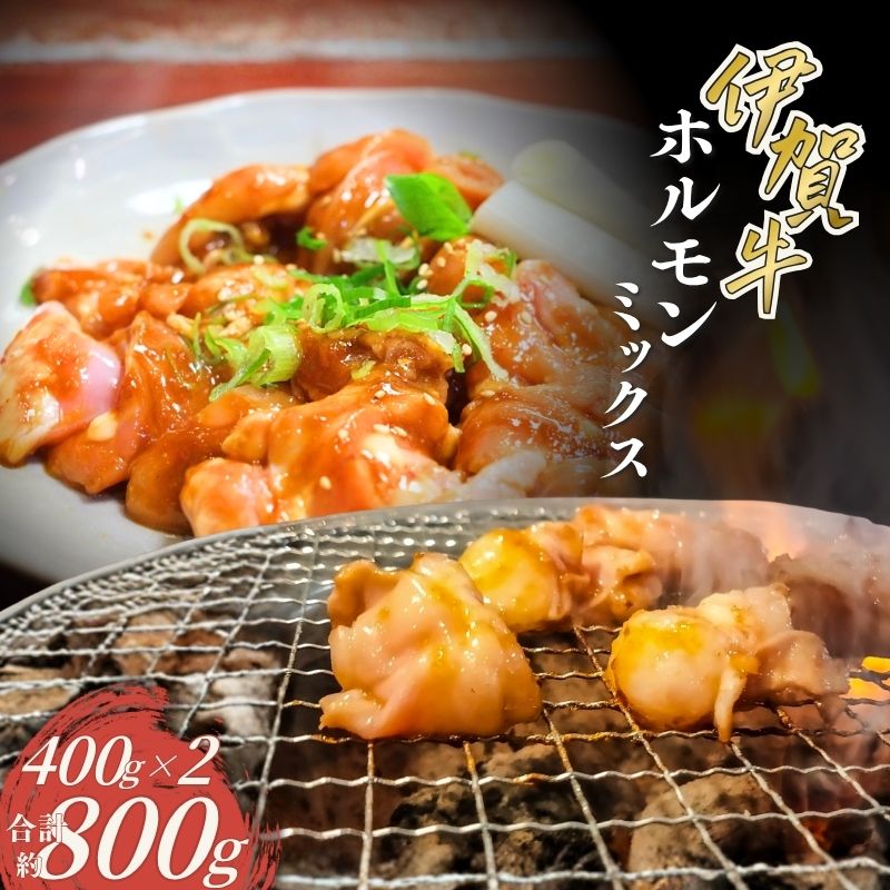 【ふるさと納税】 伊賀牛 ホルモンミックス約800g（約400g×2パック）【cook0033】