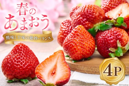 【期間限定発送】いちご あまおう 4パック いちご