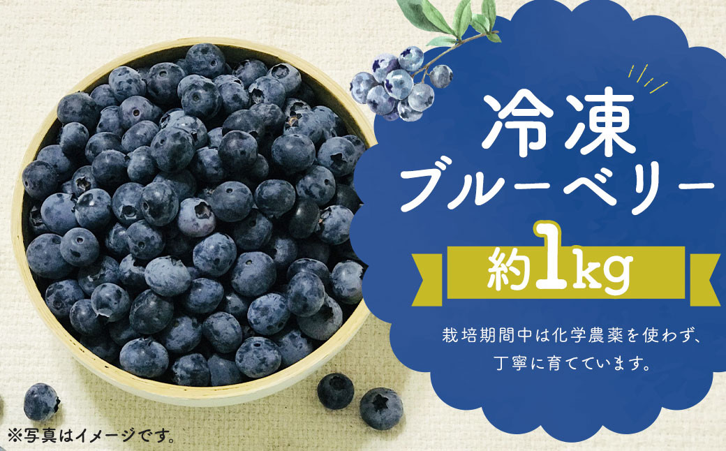 
            冷凍 ブルーベリー  約1kg 約200g×5 【2025年8月上旬発送開始】 果物 フルーツ デザート おやつ お取り寄せ  冷凍
          