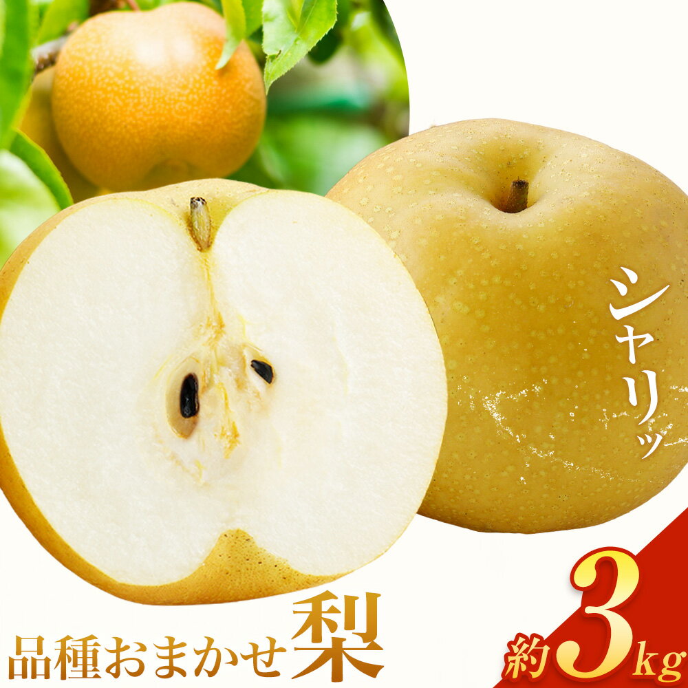 【ふるさと納税】さつま町産 品種おまかせ 梨 3kg 市山梨花園《8月中旬-9月末頃出荷》鹿児島県 さつま町 果物 フルーツ なし ナシ