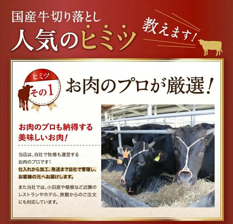 国産 牛肉 切り落とし1ｋｇ（500ｇ×2）｜ 切り落とし 便利 
