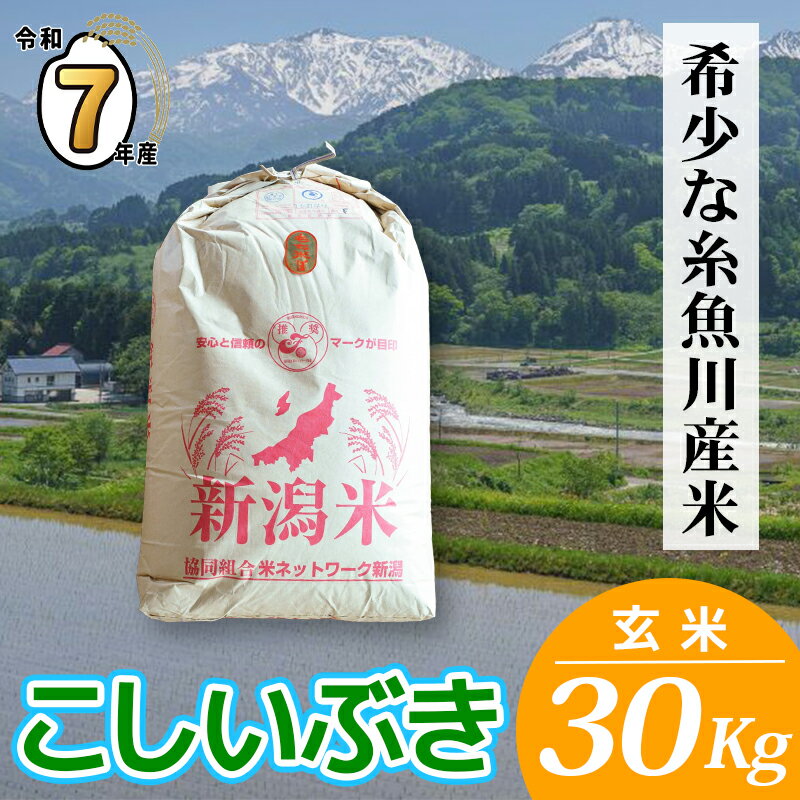 【ふるさと納税】こしいぶき 玄米 30kg（精米不可）《令和7年産》米 新米 玄米 新潟県産 こしいぶき 玄米 30kg 2025年産 新潟県 糸魚川市 精米対応不可 1等米 木島米穀店