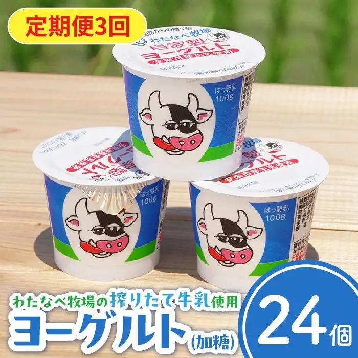 【定期便3回】わたなべ牧場のヨーグルトセット ／ 24個 ×3ヵ月 ヨーグルト 加糖 牧場 生乳 こだわり 甘み 搾りたて 安心 自然派 化学合成物質不使用 定期便 島根県 安来市