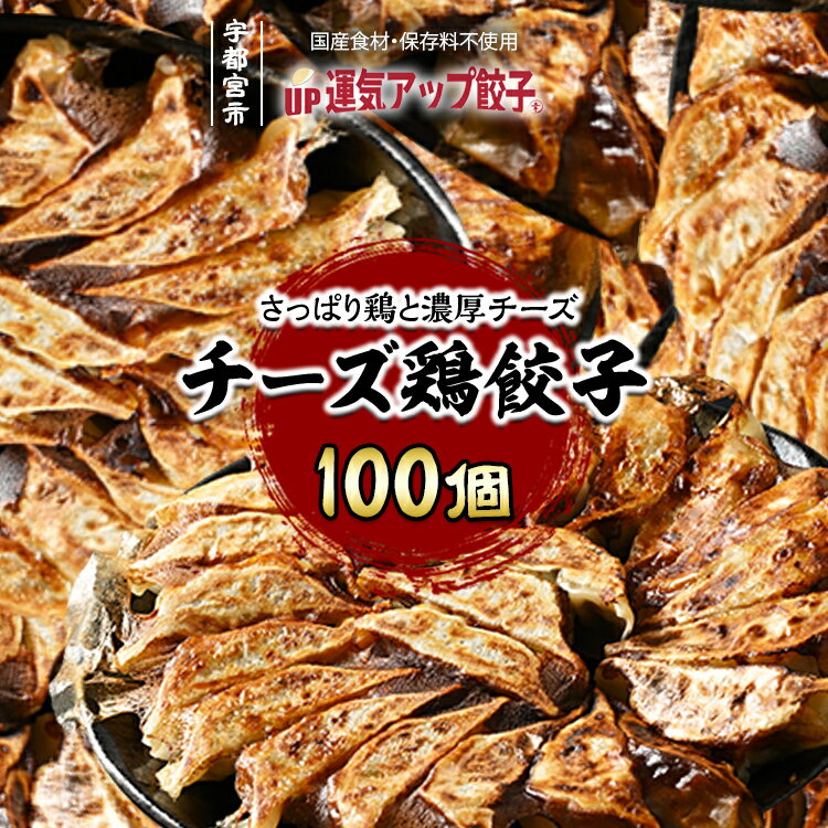 【ふるさと納税】宇都宮餃子 運気アップ餃子 チーズ鶏餃子 100個 保存料不使用【 餃子 ぎょうざ 冷凍餃子 冷凍食品 惣菜 栃木県 宇都宮市 】※配送不可地域：離島