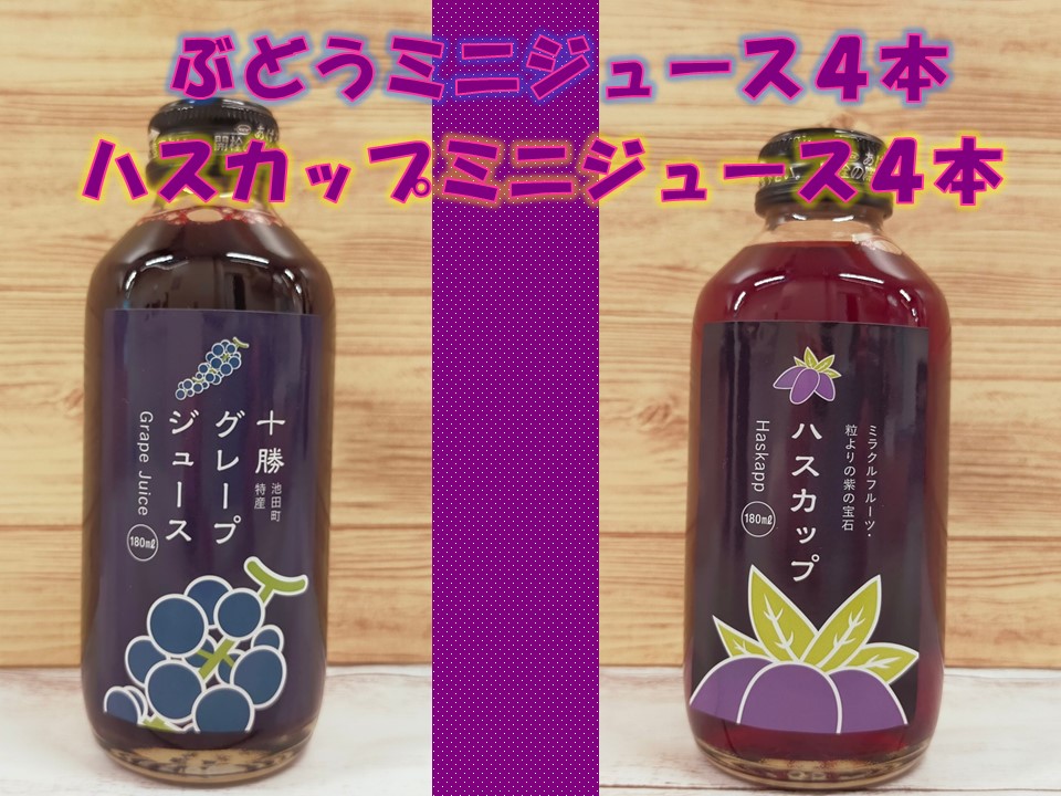 北海道　ぶどうとハスカップのミニジュース8本