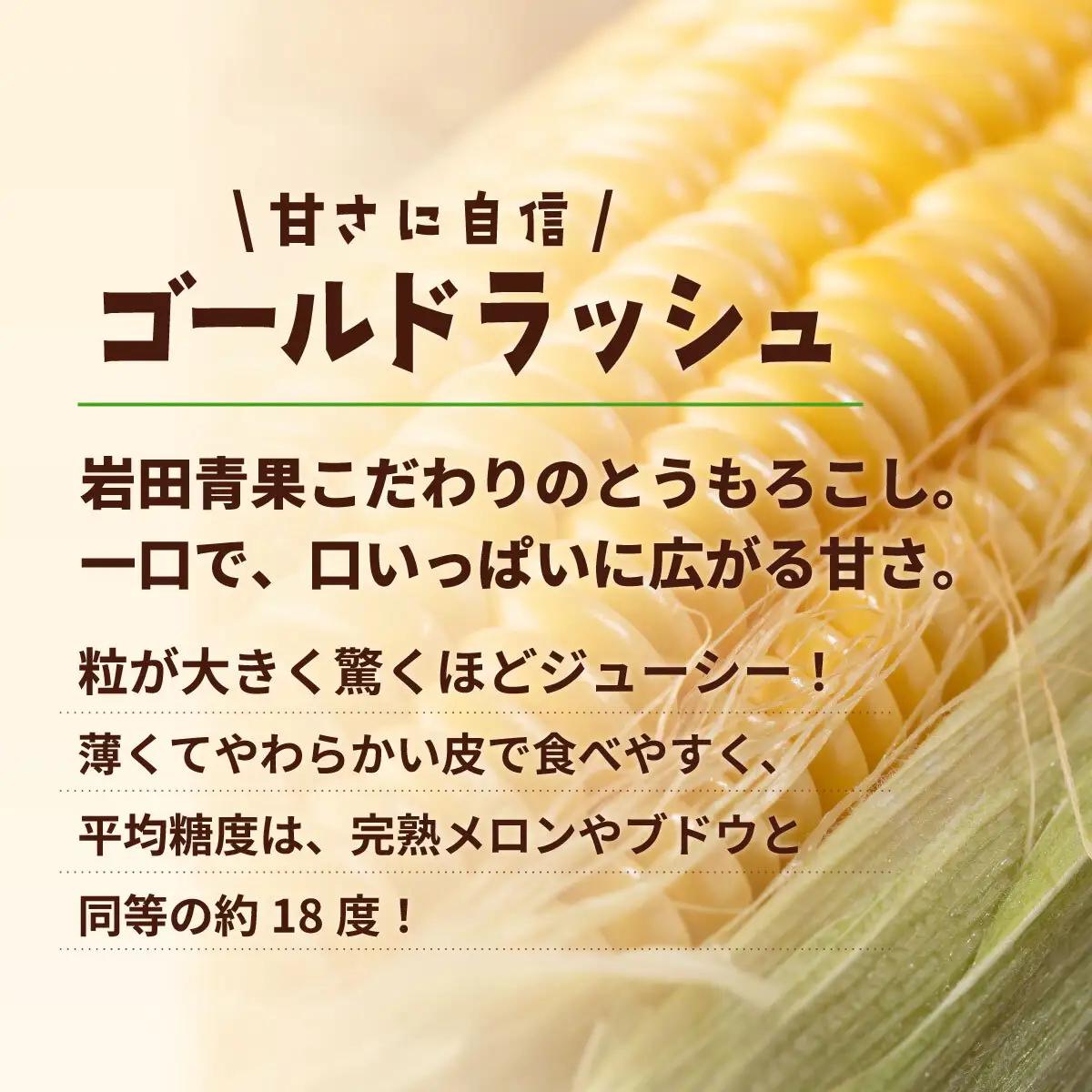 とうもろこし ゴールドラッシュ 3.5kg 茨城県産 トウモロコシ 深夜採り 朝出荷