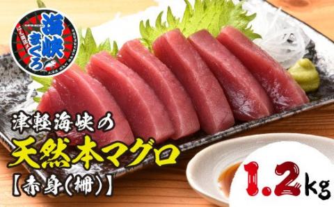 福島町水揚げ本マグロ「海峡まぐろ」赤身(1.2kg) FKO002