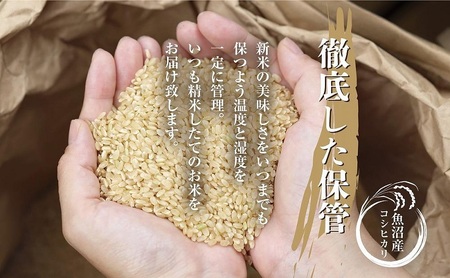 DE06 ｜無洗米｜ 魚沼産 コシヒカリ 5kg お米 こしひかり 新潟 （お米の美味しい炊き方ガイド付き）