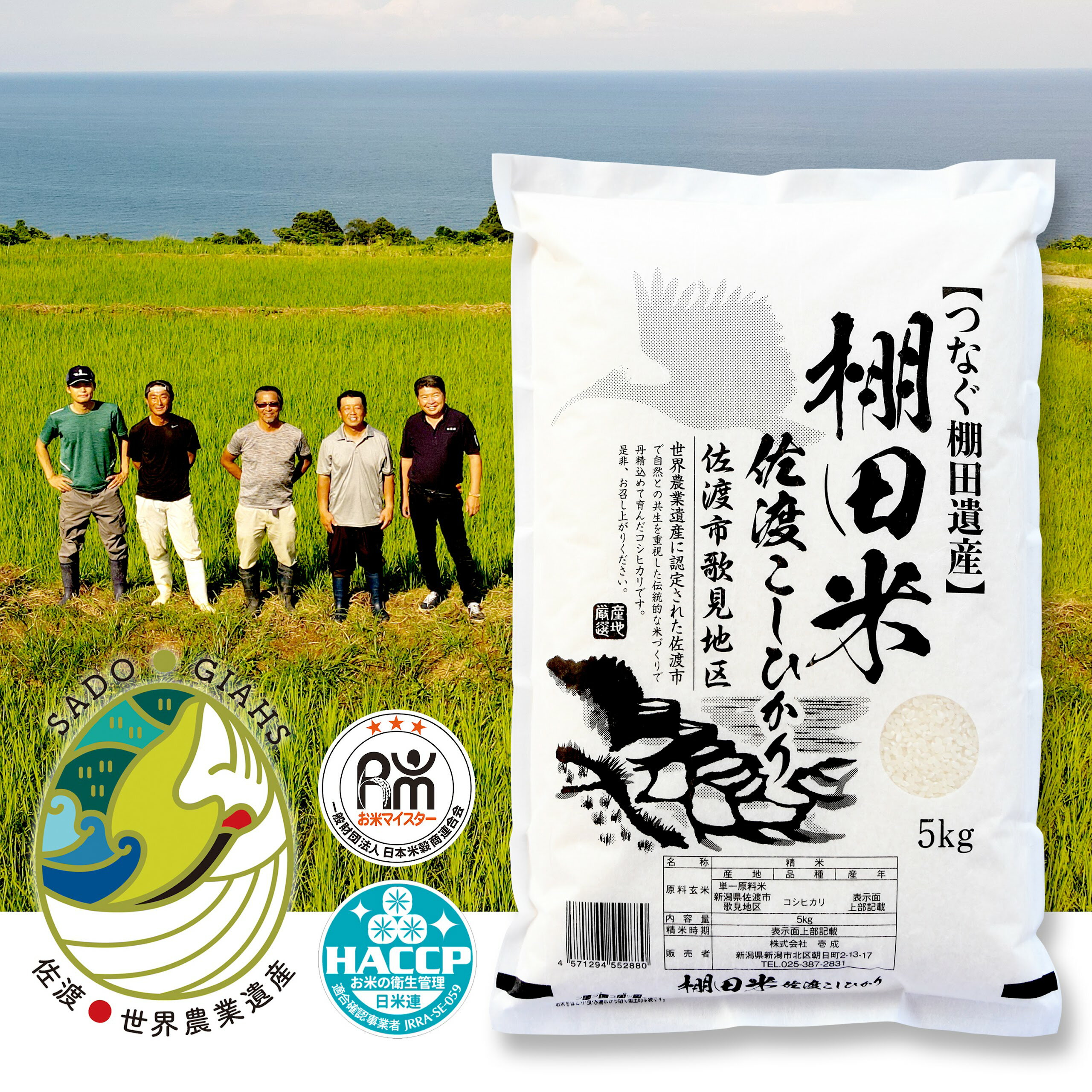 【ふるさと納税】米 コシヒカリ 5kg 令和7年産 佐渡産 棚田米 歌見地区 精米 白米 世界農業遺産 こしひかり 単一原料米 ごはん おにぎり お弁当 新潟県 佐渡市