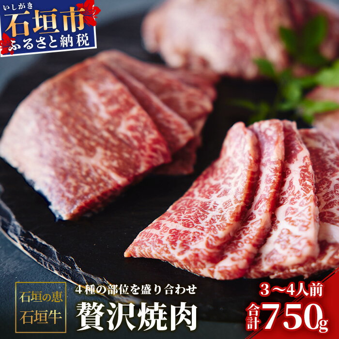 【ふるさと納税】【産地直送】石垣の恵 石垣牛 贅沢焼肉(4種盛)【合計750g】【日本最南端の黒毛和牛】KB-100