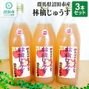 【ふるさと納税】群馬県沼田市産 林檎じゅうす1000ml（リンゴジュース）3本セット