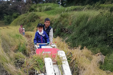 米 白米 ねしこ 棚田米 5kg 【期間限定発送】 [しげさん農園 長崎県 平戸市 hr42bgy420404]