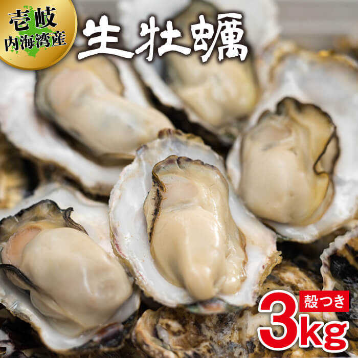 【ふるさと納税】《季節限定2月-4月》牡蠣 生牡蠣 殻つき 3kg （オープナー付き） 内海湾産《壱岐市》【壱岐東部漁業協同組合】[JBT001] カキ 海鮮 海産物 魚介類 シーフード BBQ 18000 18000円 2万円 のし プレゼント ギフト 冷蔵配送
