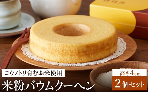 【コウノトリ育むお米使用】米粉バウムクーヘン（高さ 4cm）2個 / バームクーヘン