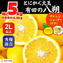 【ふるさと納税】八朔 (はっさく) とにかく 大玉 どっこいしょ 箱込 5kg (内容量約 4.4kg) 秀品 優品 混合 2Lサイズ以上 和歌山県産 産地直送【おまけ付き】【みかんの会】 | みかん 八朔 和歌山 大玉 秀 優 産地直送 和歌山県 有田川町 ふるさと納税 返礼品 故郷納税