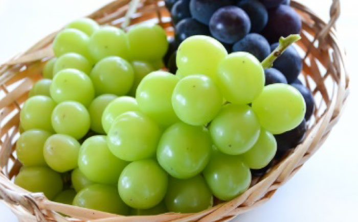 【2026年発送 先行予約】巨峰＆シャインマスカット各2パック / フルーツ / 佐賀県 / 一般社団法人 龍乃 [41ANAC015]