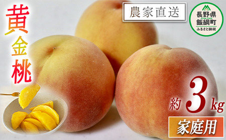 もも 黄金桃 ( 袋かけ無し ) 家庭用 3kg 松橋りんご園 配送先は本州限定 2026年8月中旬頃から2026年9月中旬頃まで順次発送予定 令和8年度収穫分 フルーツ 果物 モモ 桃 長野県 飯綱