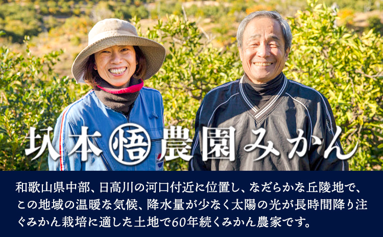 訳あり 若野みかん 約5kg サイズ無選別 圦本悟農園《12月上旬-2月中旬頃出荷》和歌山県 日高川町 旬 新鮮 果物 柑橘 フルーツ 国産 送料無料 ミカン みかん 温州みかんst-p