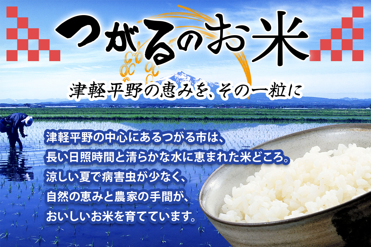 令和7年産 つがる市産 まっしぐら 白米 10kg｜2025年産 まっしぐら 白米 お米 米 コメ 精米 農家 青森 [0938]