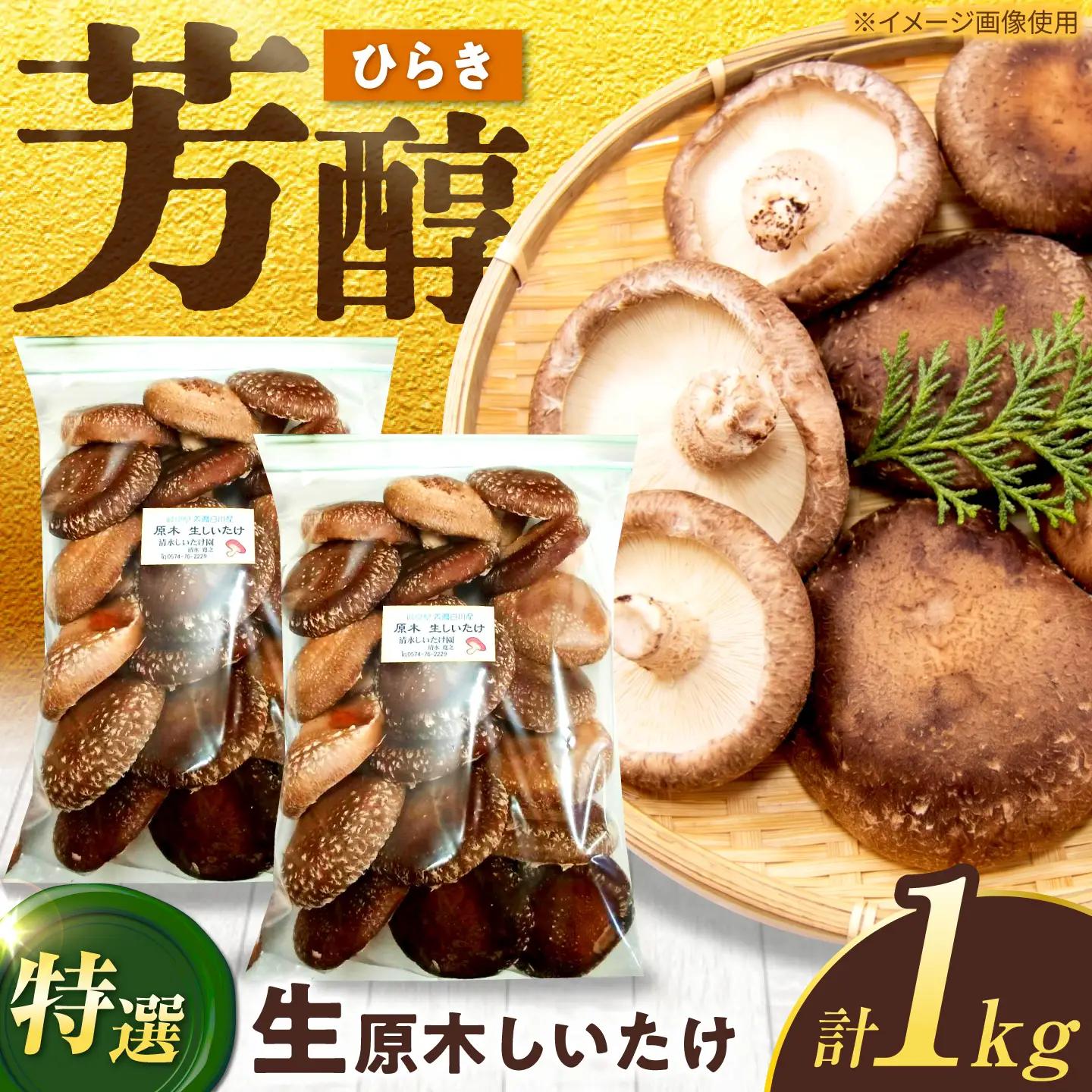 生しいたけ ひらき 1kg / 清水しいたけ園[AWAY006]生しいたけ