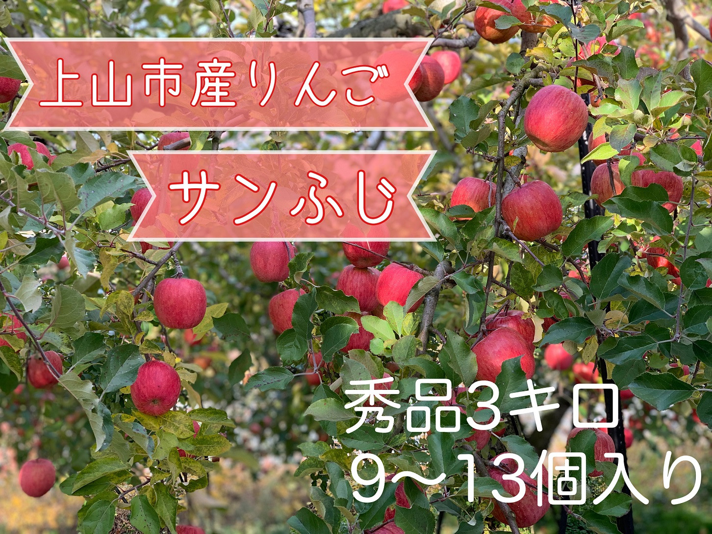 
            りんご（サンふじ）３ｋｇ　９～１３個　0120-2504
          
