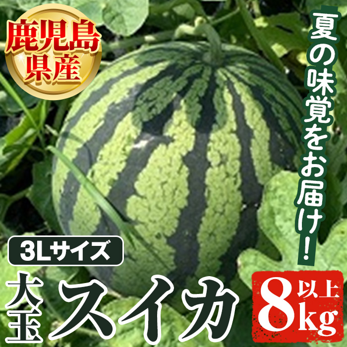 ＜2025年6月以降順次発送予定＞鹿児島県産 大玉スイカ(3Lサイズ・1玉) 鹿児島県産 大玉スイカ(3Lサイズ・1玉) 国産 果物 スイカ すいか 西瓜 フルーツ スイーツ スムージー ジュース【松