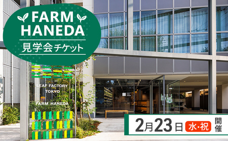 チケット 東京 【2/23(月・祝)開催】FARM HANEDA見学会チケット 見学 収穫 体験 体験チケット 植物工場 野菜 栽培 レタス ラディッシュ サラダホウレンソウ 大田区 東京都