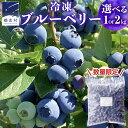 【ふるさと納税】 【 選べる 内容量 】 数量限定 冷凍ブルーベリー 1kg 2kg ブルーベリー 冷凍 中粒 厳選 フルーツ 産地直送 群馬県 国産