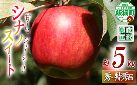 りんご シナノスイート 秀 〜 特秀 5kg 関農園 沖縄県への配送不可 2026年10月上旬頃から2026年10月下旬頃まで順次発送予定 エコファーマー認定 令和8年度収穫分 信州 果物 フルーツ リンゴ 林檎 長野 予約 農家直送 長野県 飯綱町 [1089]