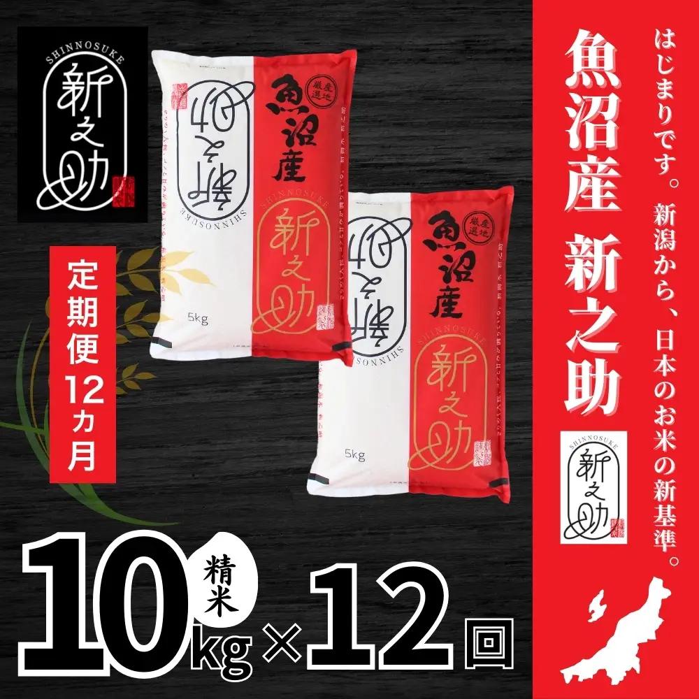12ヶ月定期便 中魚沼産「新之助(しんのすけ)」10kg 有限会社イタバ |津南町 魚沼 令和7年