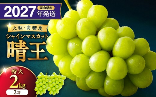 【2027年発送分・先行予約開始！】岡山県産シャインマスカット 「晴王」 秀品　（特大サイズ2房・約2kg）（令和9年8月中旬以降発送）