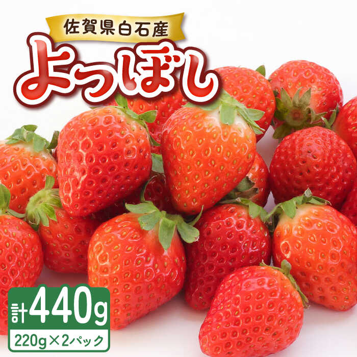 【ふるさと納税】【2026年発送分 先行予約】よつぼし（220g×2パック）/ いちご イチゴ 苺 果物 フルーツ / 佐賀県 / 岸川農園 [41ASAG038]