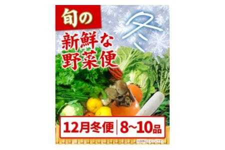 ＜先行予約＞ 旬の新鮮な野菜便 12月冬便 8～10品 野菜