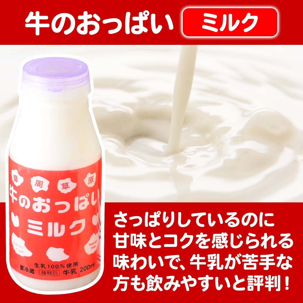 787.牛のおっぱいミルク コーヒー  計10本 飲み比べ セット 牛乳 生乳 ミルク 飲料 しぼりたて コーヒー 珈琲 お取り寄せ ギフト gift 渡辺体験牧場 まとめ買い 北海道 弟子屈町_イメ