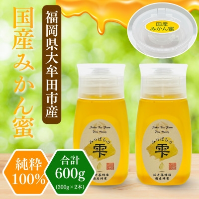 
                  みつばちの雫　国産みかん蜂蜜　300g×2_蜂蜜 はちみつ ハチミツ 国産 みかん蜂蜜 みつばちの雫 人気 美味しい【1481076】
                