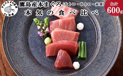 鷹島産本まぐろ本気の食べ比べ(大トロ・中トロ・赤身合わせて600g)【C8-012】