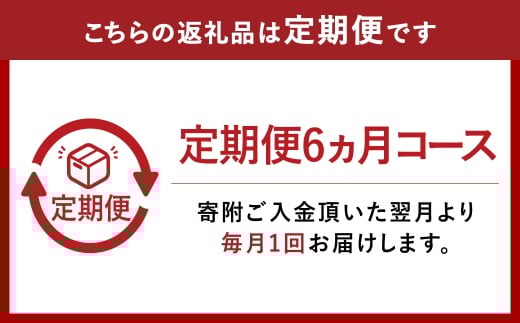 【6ヶ月定期便】『倉敷うどん ぶっかけ』お土産セット(半生) 6人前×6回 うどん 麺類 麺 半生 半生麺 ぶっかけうどん タレ つゆ 岡山県 倉敷市