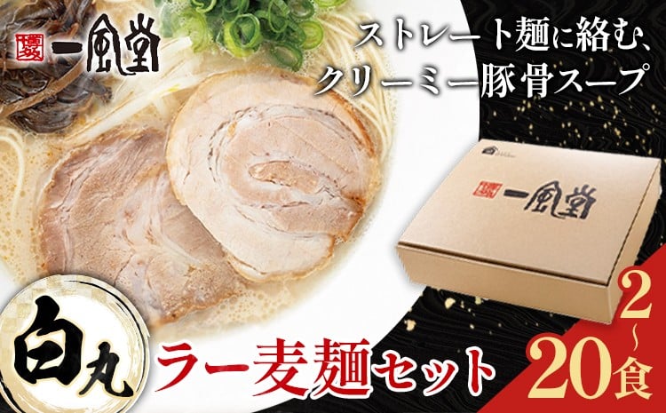 
                  ラーメン 一風堂 白丸 ラー麦麺 セット 選べる 2食 6食 12食 20食 地域商社ふるさぽ《90日以内に出荷予定(土日祝除く)》福岡県 鞍手町 ラーメン とんこつ 豚骨スープ 豚骨ラーメン ラー麦 麺
                