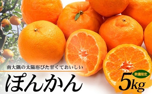 【先行予約・数量限定】南大隅の太陽浴びた甘くて・おいしい ぽんかん 5kg【2026年1月中旬以降順次発送】｜ぽんかん ポンカン 柑橘 甘い 果物 新鮮 産地 直送 先行予約 おすすめ 人気 南大隅町(ID-1)