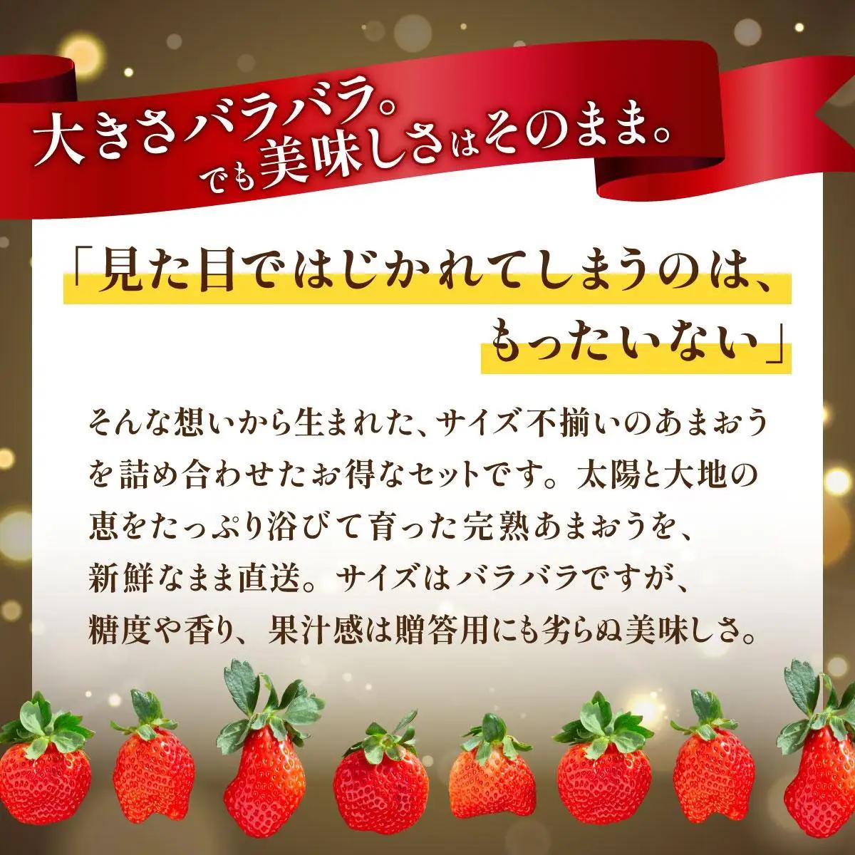 いちご 福岡県産 特別栽培 あまおう サイズいろいろMIX 約1140g（約285g×4パック）【1～2月発送】