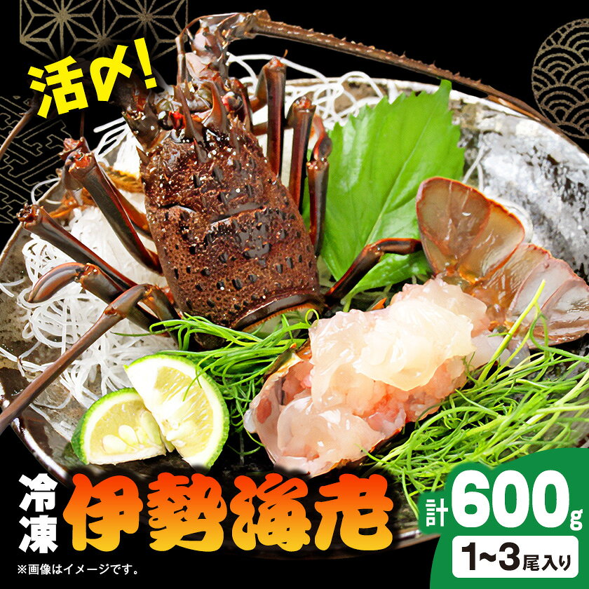 【ふるさと納税】活〆冷凍伊勢海老600g_ 美味しい 人気 高級 伊勢海老 エビ 海鮮 贈答 【配送不可地域：離島】【1607625】
