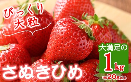 ＜先行予約！2027年3月下旬以降順次発送予定＞大粒！香川県産 さぬきひめいちご (約1kg・1粒20g以上) 国産 果物 苺 イチゴ フルーツ 産地直送 冷蔵便 【man104-B】【Aglio nero】