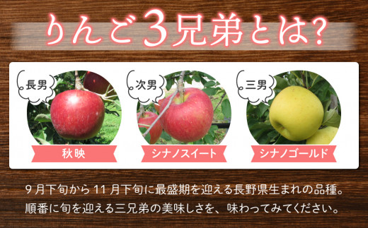りんご「シナノスイート」3kg 長野県オリジナル品種｜JA信州うえだ東部地区営農課 東御市産  ※10月中旬～11月上旬頃お届け予定