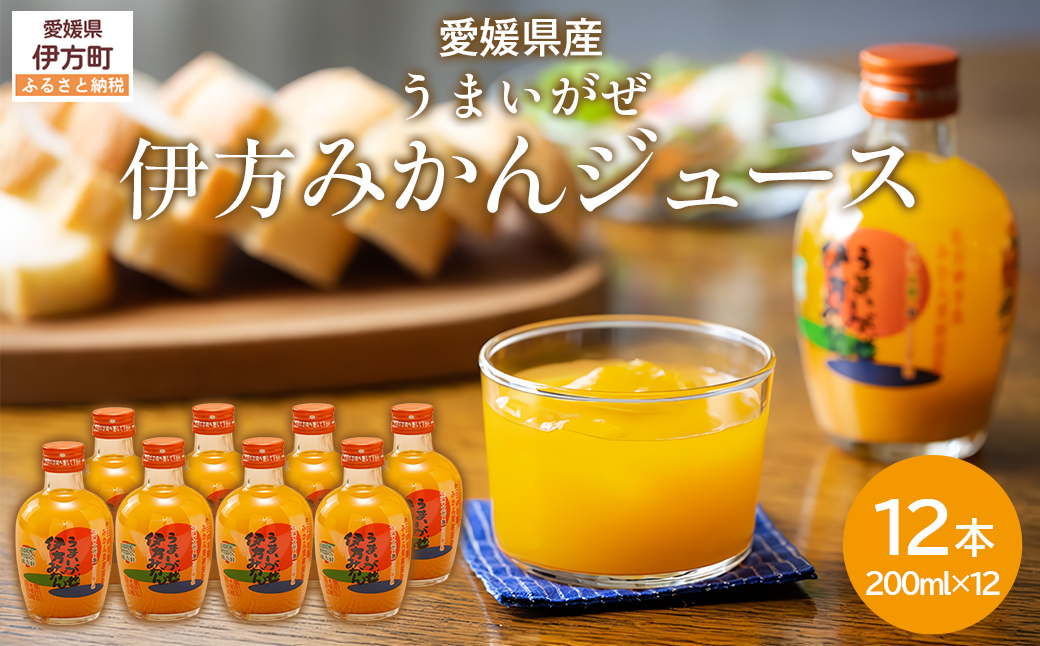 【先行予約】【愛媛県産】うまいがぜ伊方みかんジュース（200ml×12本） ストレート果汁100％  IKTI006