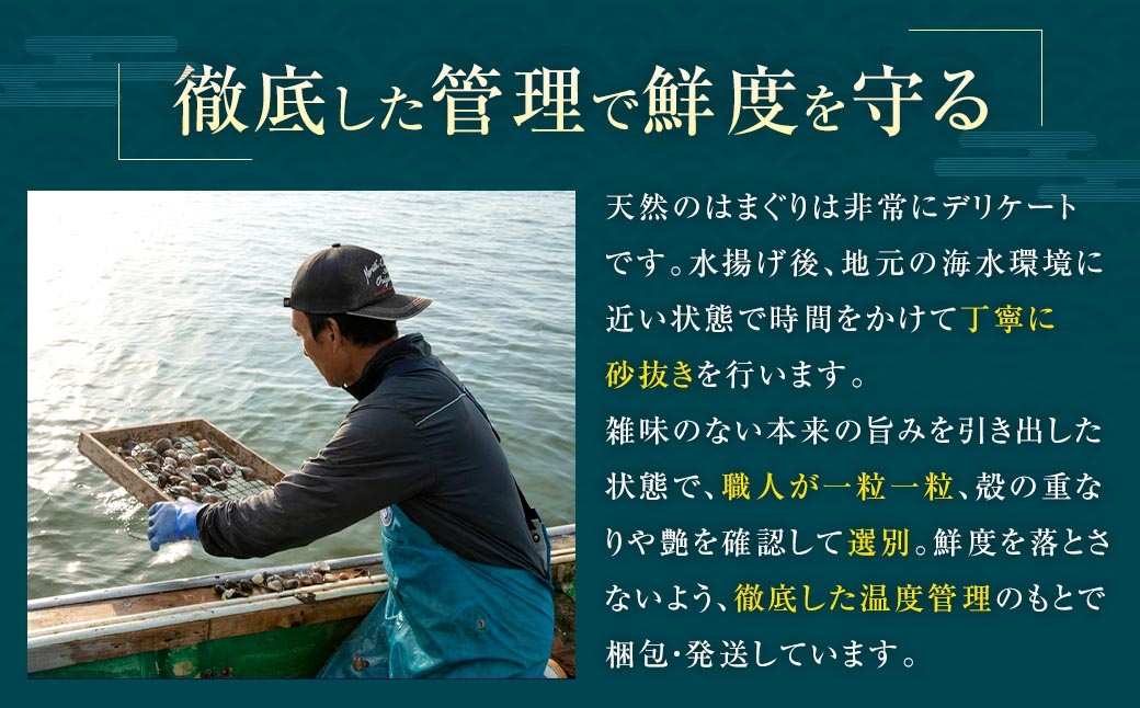 はまぐり 約1.5kg 特製だし汁付き 約1.5kg