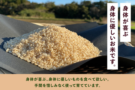 ＜玄米 2kg＞『身体が喜ぶ野菜とお米』詰め合わせ おまかせセット 茨城県産 コシヒカリ 米 お米 ご飯 ごはん 栽培期間中農薬不使用 季節の野菜 セット 微生物農法 EM農法 有機栽培 産地直送 新