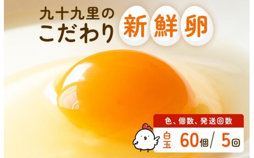 【定期便5回】九十九里ファームこだわりたまご贈答用 60個 ～あおい海・みどりの里～《白玉》 たまご 卵 玉子 タマゴ 白玉 卵かけご飯 新鮮 旨み 甘み 贈答用 贈答 ギフト 贈り物 千葉県 匝瑳市