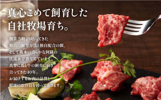 フジチクふじ馬刺し上赤身4個セット 合計約320g						